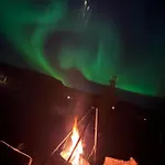 Cosy In North-norway, Nearby Senja. *