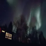 Cosy In North-norway, Nearby Senja.
