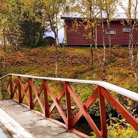 Cosy In North-norway, Nearby Senja. *