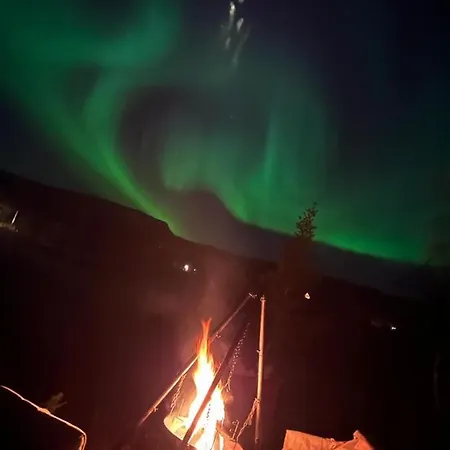 Cosy In North-norway, Nearby Senja. *