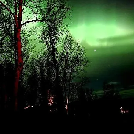 Cosy In North-norway, Nearby Senja. *