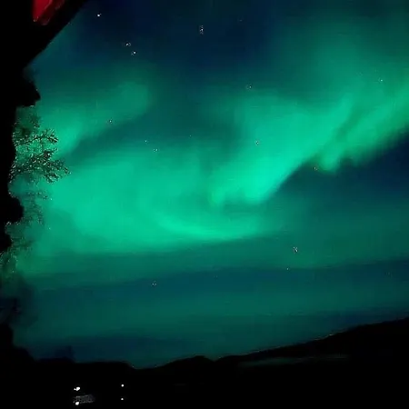 شقة Cosy In North-norway, Nearby Senja.