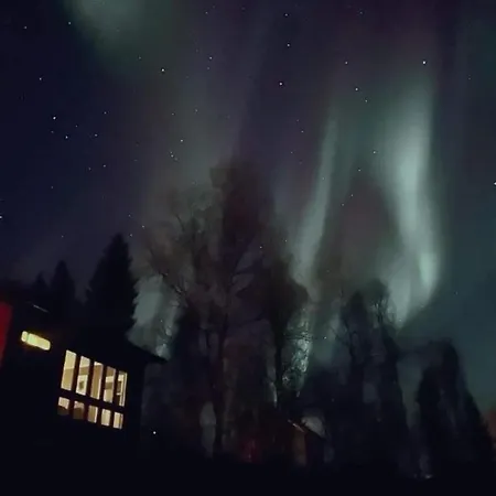 Cosy In North-norway, Nearby Senja.