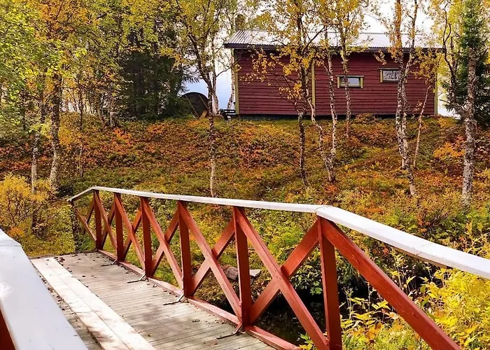 Cosy In North-norway, Nearby Senja. *