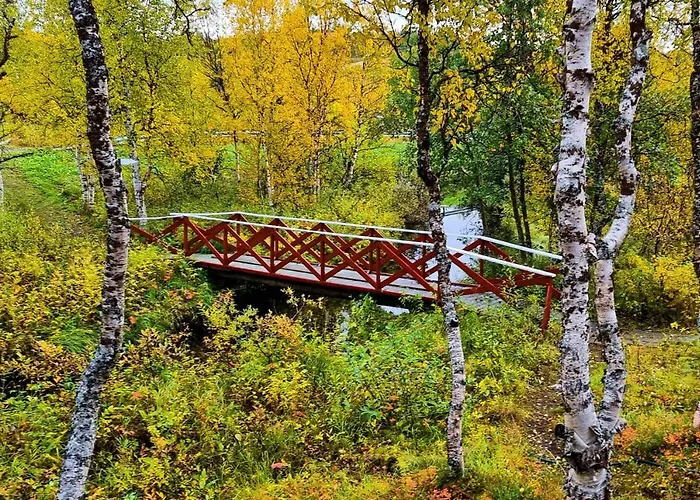 Apartamento Cosy In North-norway, Nearby Senja. *
