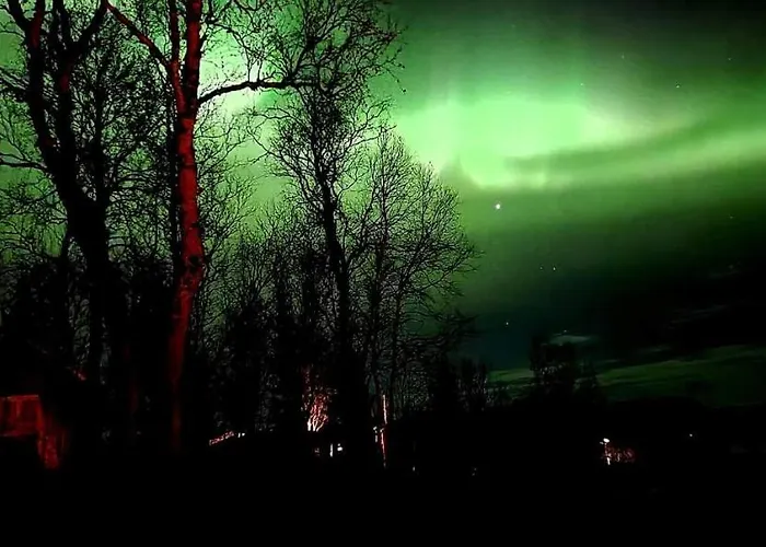Cosy In North-norway, Nearby Senja. *