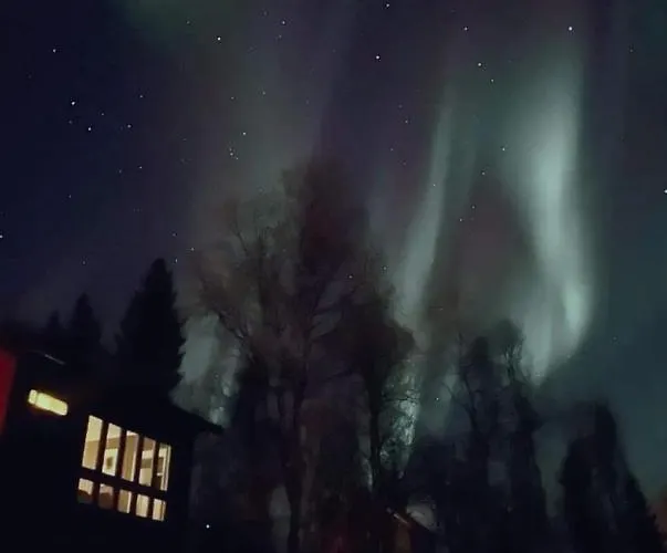 Cosy In North-norway, Nearby Senja.