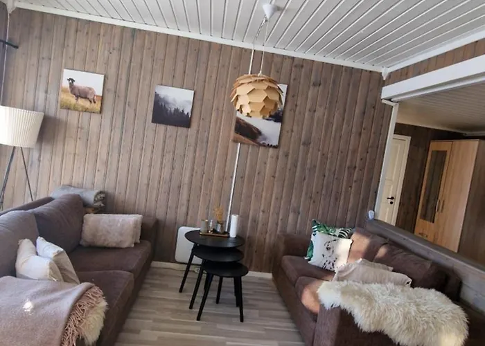 Cosy In North-norway, Nearby Senja. *